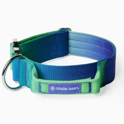 Comfort Control Collar - Lime Wave