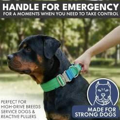 Comfort Control Collar - Lime Wave