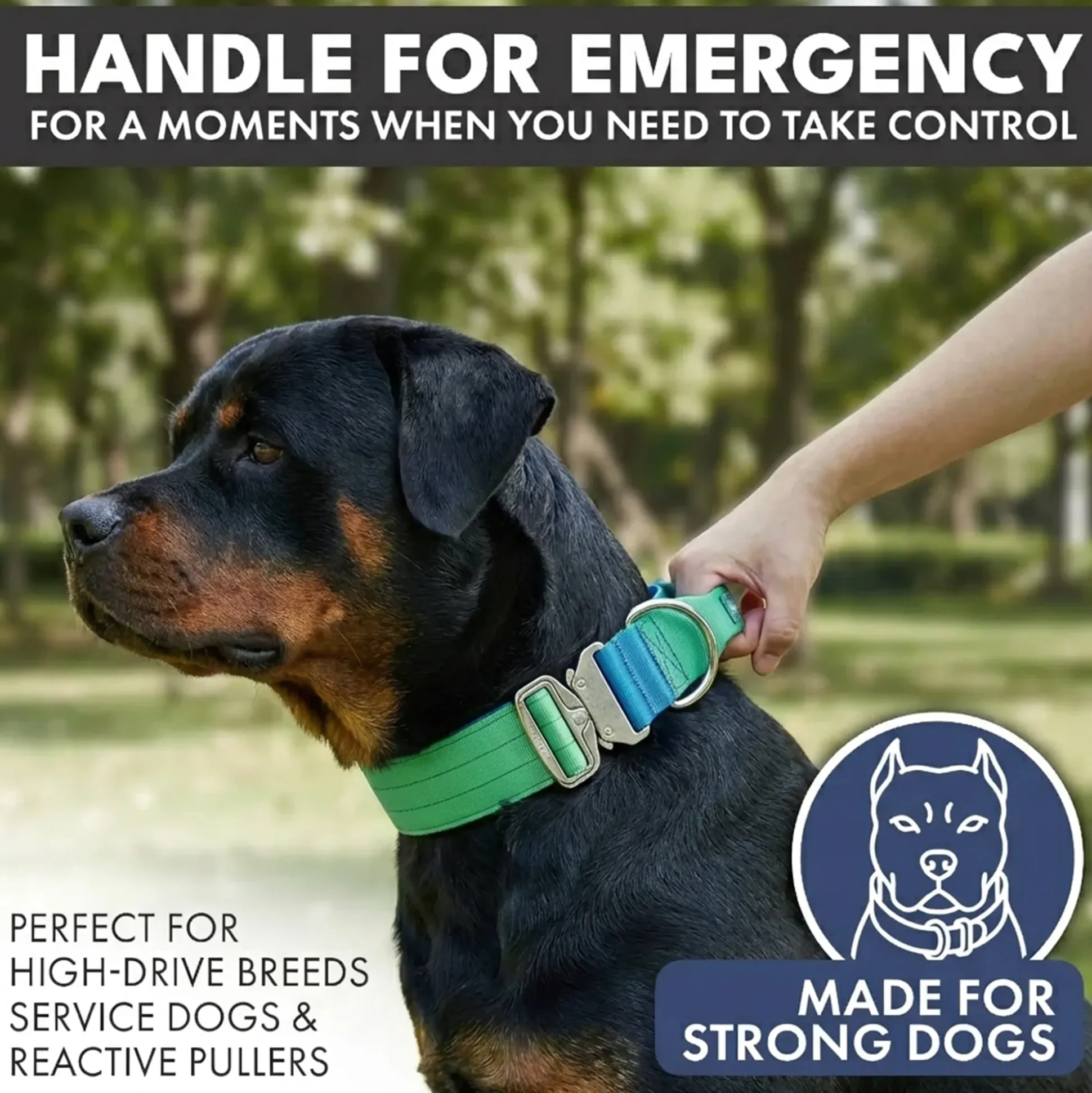 Comfort Control Collar - Lime Wave