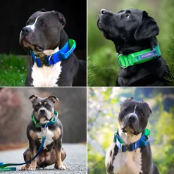 Comfort Control Collar - Lime Wave