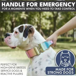 Comfort Control Collar - Pastel Icing