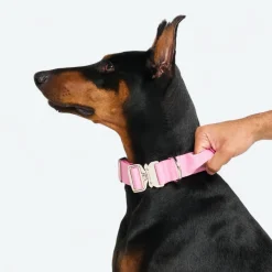 Comfort Control Collar - Pink