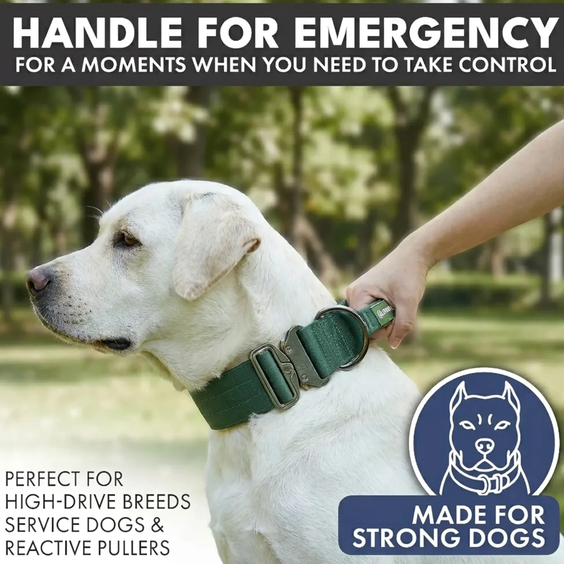 Comfort Control Collar Set - Army Green