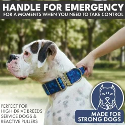 Comfort Control Collar Set - Blue Camo