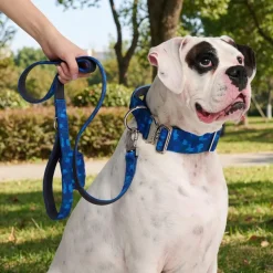 Comfort Control Collar Set - Blue Camo