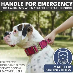 Comfort Control Collar Set - Fuchsia Camo