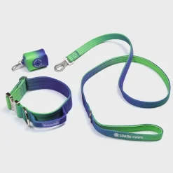Comfort Control Collar Set - Lime Wave