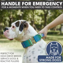 Comfort Control Collar Set - Lime Wave