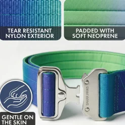Comfort Control Collar Set - Lime Wave
