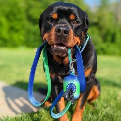 Comfort Control Collar Set - Lime Wave