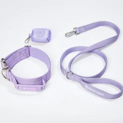 Comfort Control Collar Set - Lilac