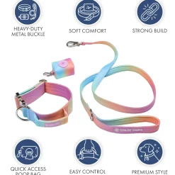 Comfort Control Collar Set - Pastel Icing
