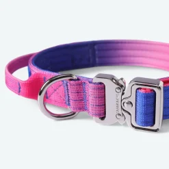 Comfort Control Collar Set - Snow Cone