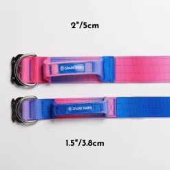 Comfort Control Collar Set - Snow Cone