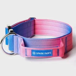 Comfort Control Collar Set - Snow Cone