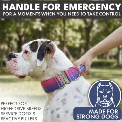 Comfort Control Collar - Snow Cone