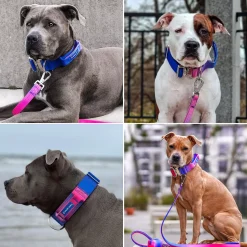 Comfort Control Collar - Snow Cone