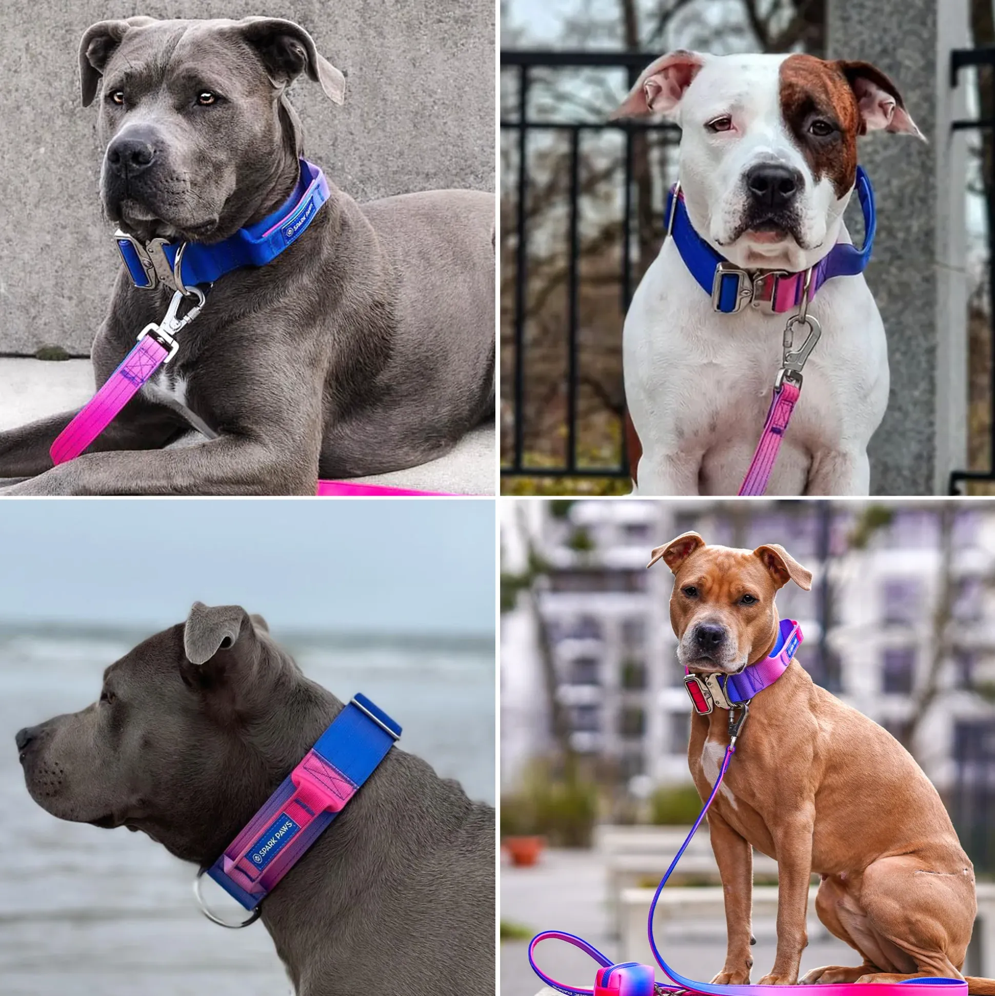 Comfort Control Collar - Snow Cone