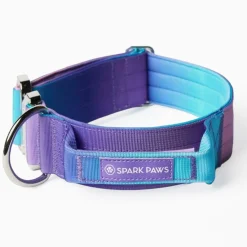 Comfort Control Collar - 90s Retro