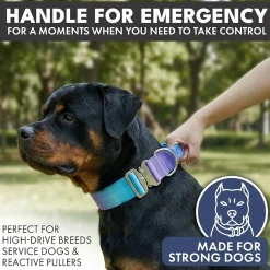 Comfort Control Collar - 90s Retro