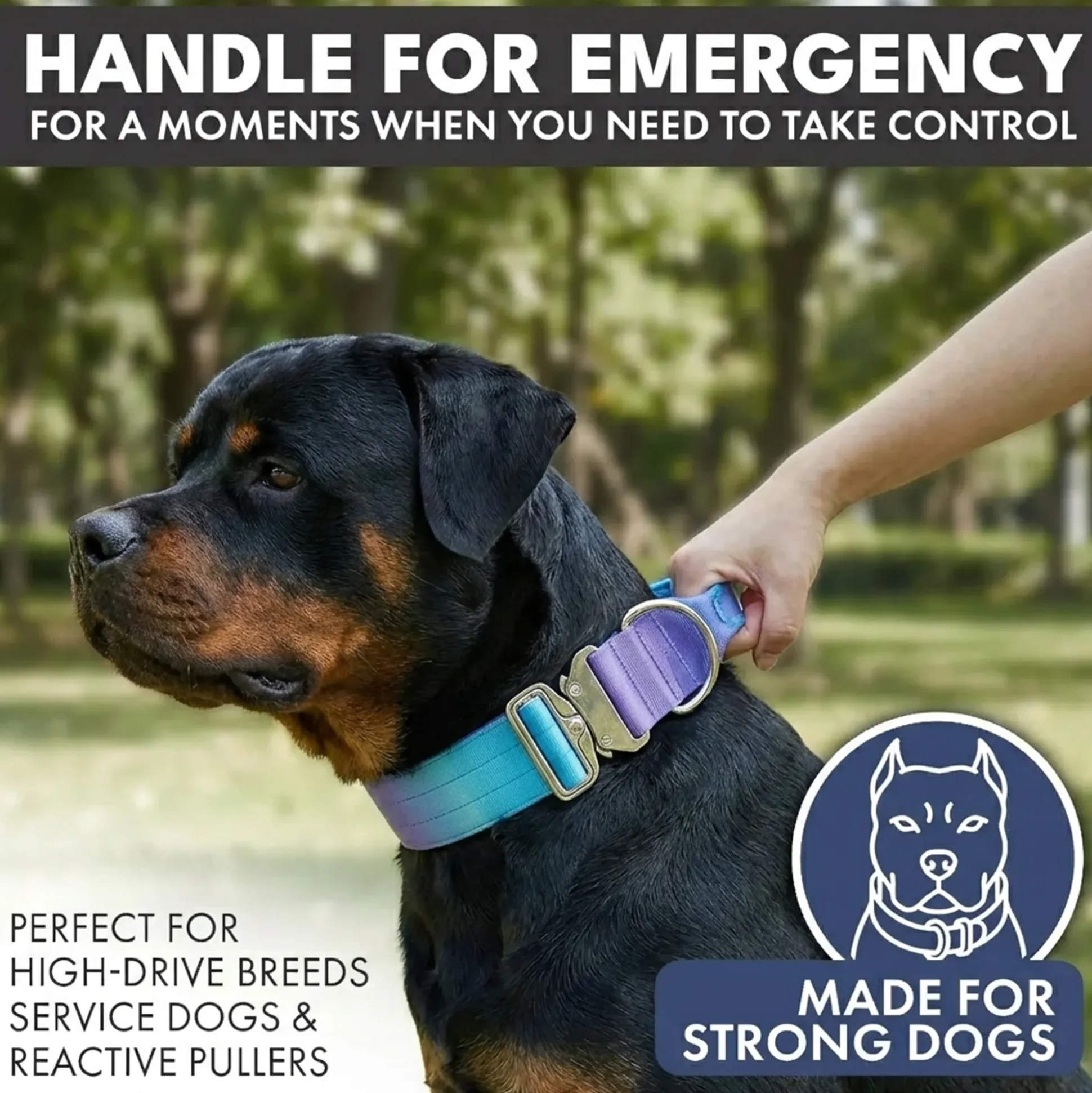 Comfort Control Collar - 90s Retro