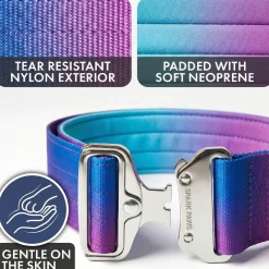 Comfort Control Collar - 90s Retro