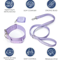 Comfort Control Dog Collar Sets