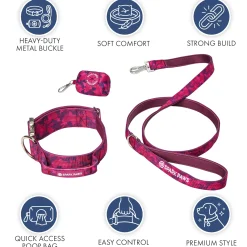 Comfort Control Dog Collar Sets