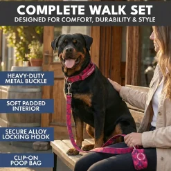 Comfort Control Dog Collar Sets