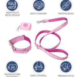 Comfort Control Dog Collar Sets