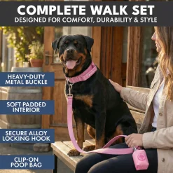 Comfort Control Dog Collar Sets