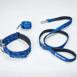 Comfort Control Dog Collar Sets