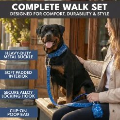 Comfort Control Dog Collar Sets
