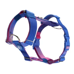 Comfort Control No-Pull Dog Harness - Snow Cone