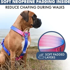 Comfort Control No-Pull Dog Harness - Snow Cone