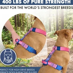 Comfort Control No-Pull Dog Harness - Snow Cone