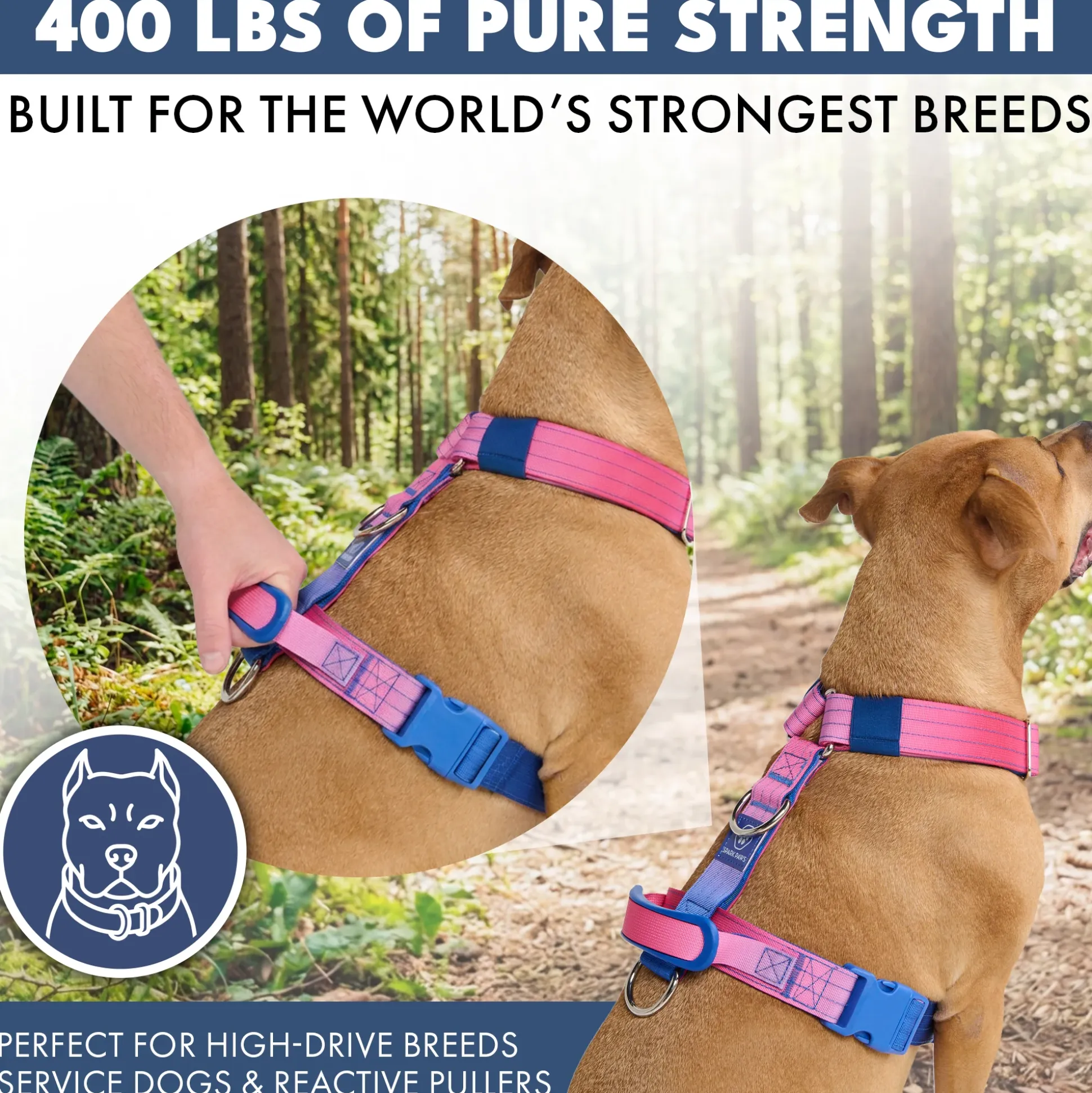 Comfort Control No-Pull Dog Harness - Snow Cone