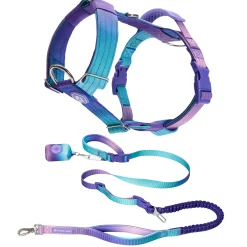 Comfort Control No-Pull Dog Harness and Multipurpose Leash Sets