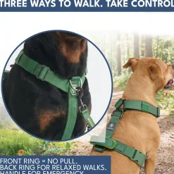 Comfort Control No-Pull Dog Harness and Multipurpose Leash Sets