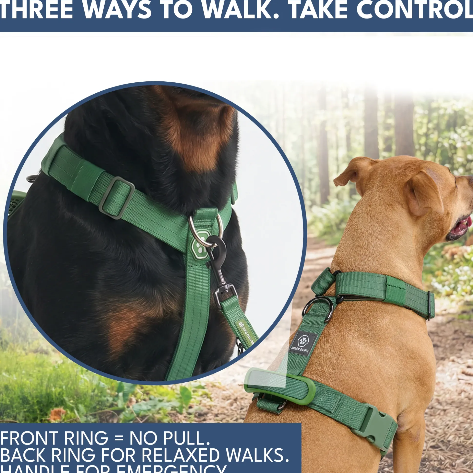 Comfort Control No-Pull Dog Harness and Multipurpose Leash Sets