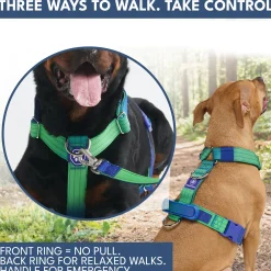 Comfort Control No-Pull Dog Harness and Multipurpose Leash Sets