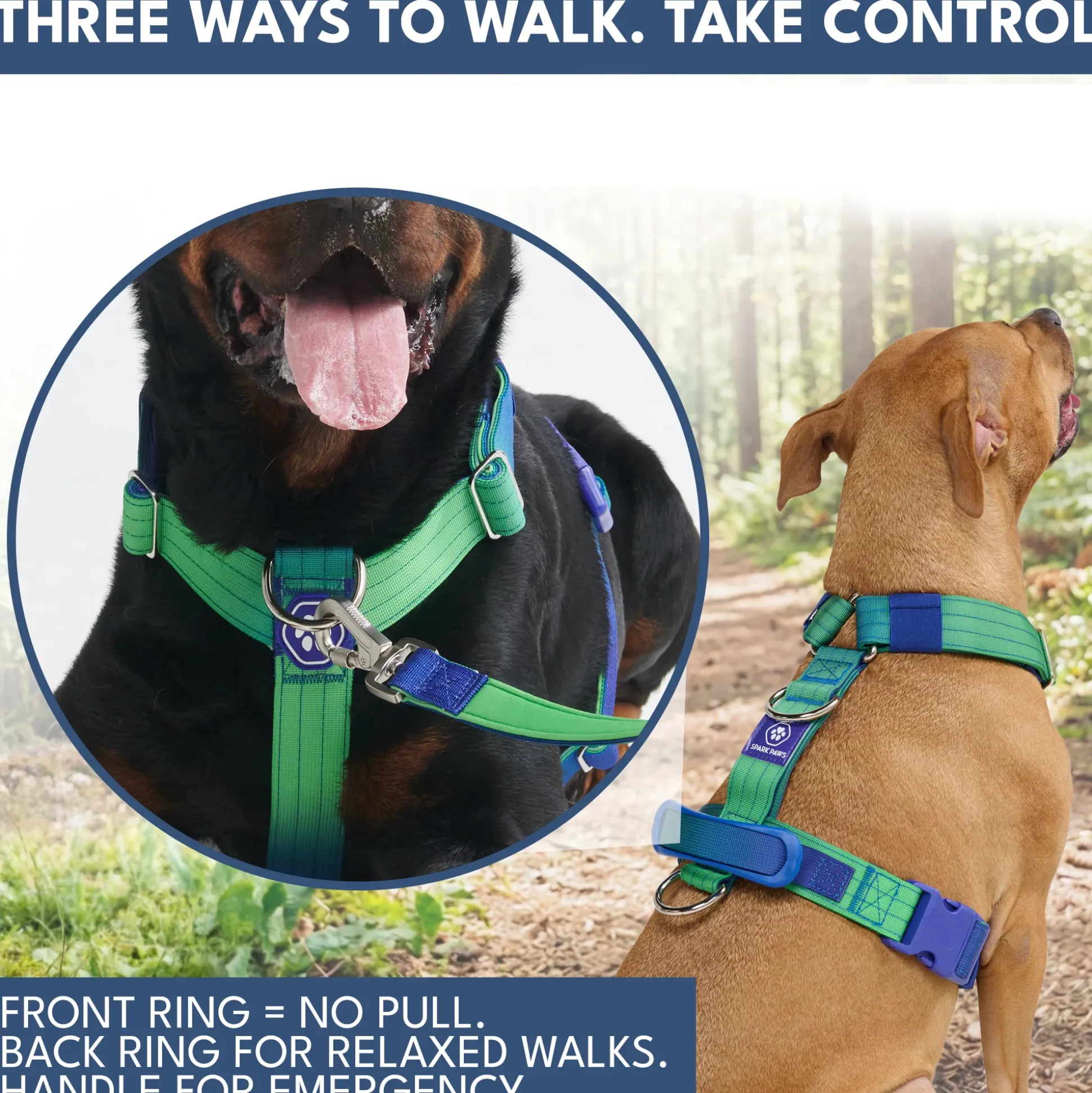 Comfort Control No-Pull Dog Harness and Multipurpose Leash Sets