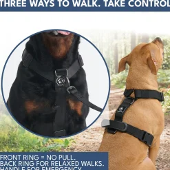 Comfort Control No-Pull Dog Harness and Multipurpose Leash Sets