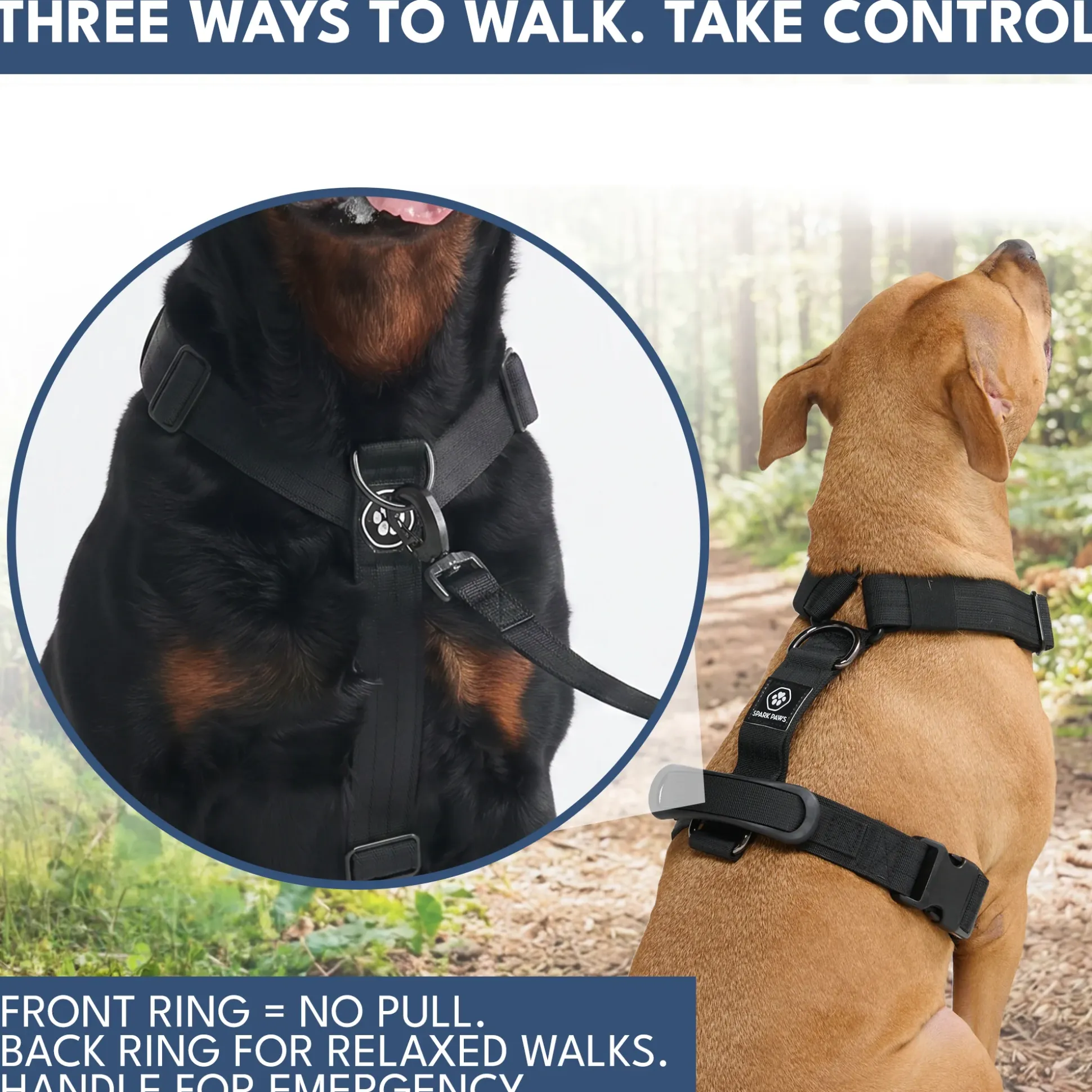 Comfort Control No-Pull Dog Harness and Multipurpose Leash Sets
