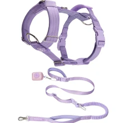 Comfort Control No-Pull Dog Harness and Multipurpose Leash Sets