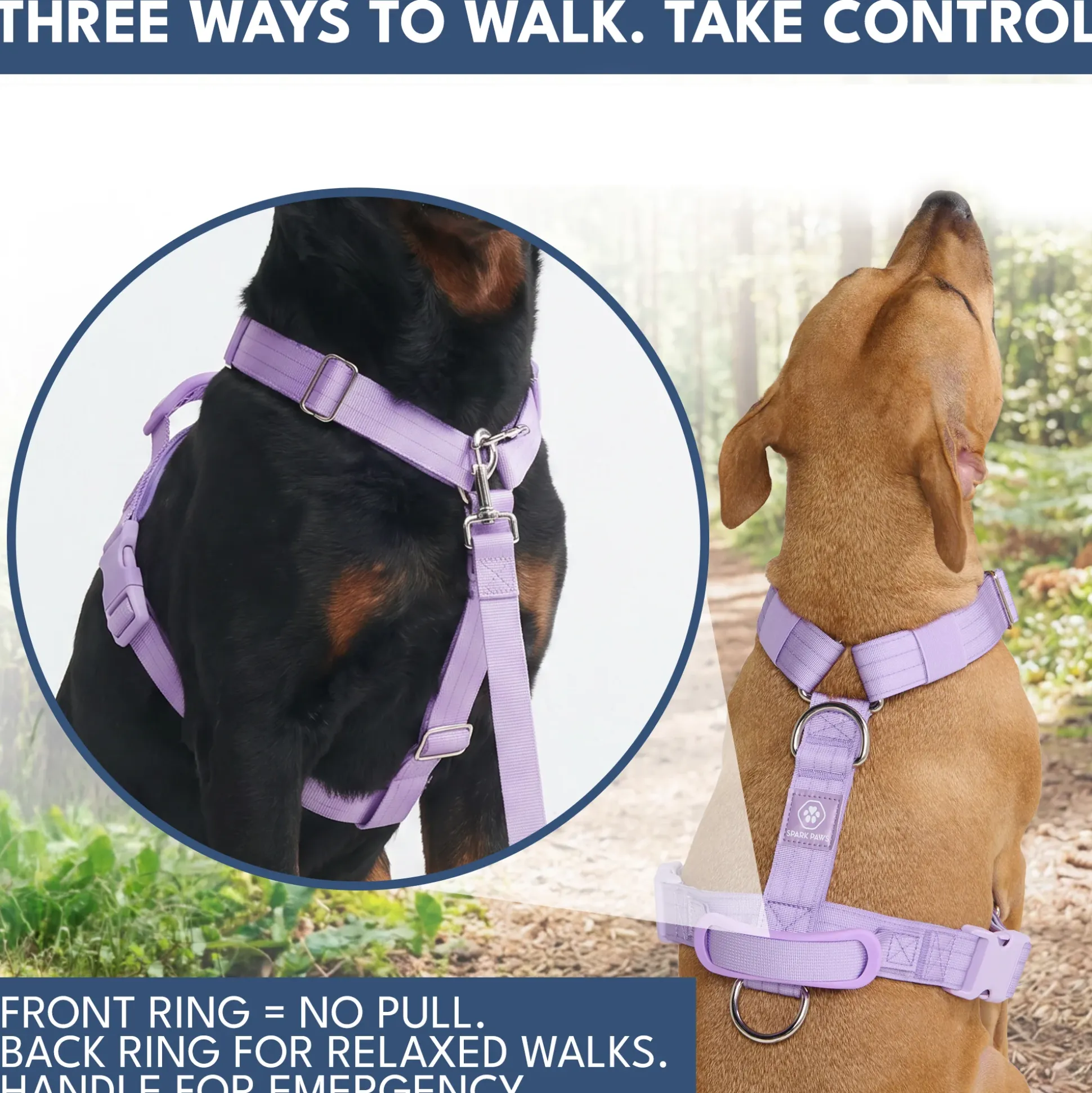 Comfort Control No-Pull Dog Harness and Multipurpose Leash Sets