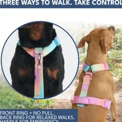 Comfort Control No-Pull Dog Harness and Multipurpose Leash Sets