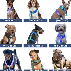 Comfort Control No-Pull Dog Harnesses
