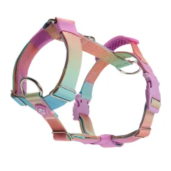 Comfort Control No-Pull Dog Harnesses