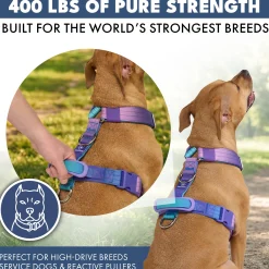 Comfort Control No-Pull Dog Harness Set - 90s Retro